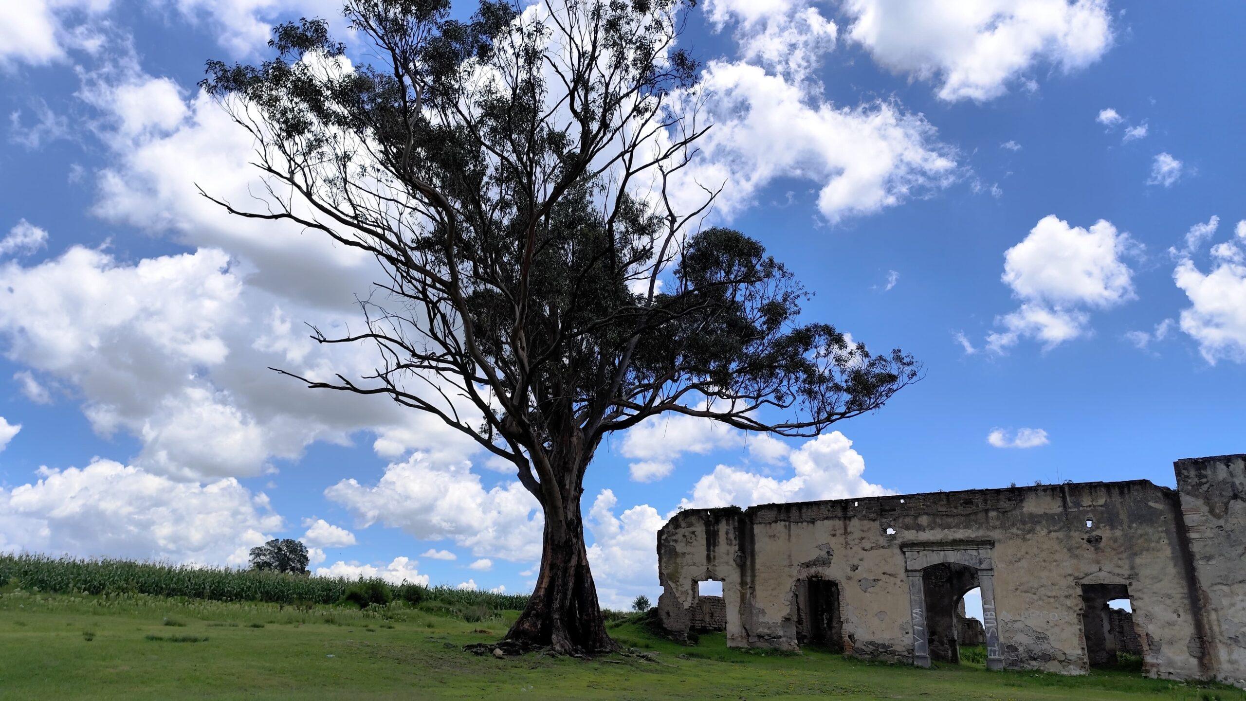 Hacienda la blanca