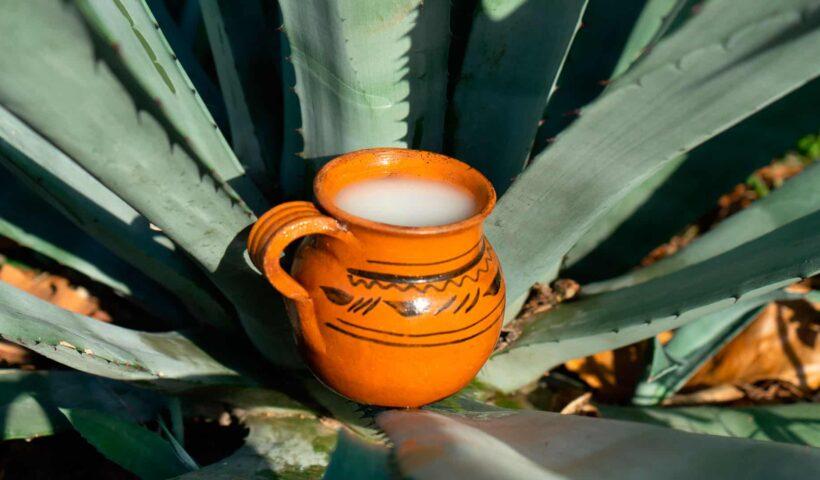 15 datos del pulque-